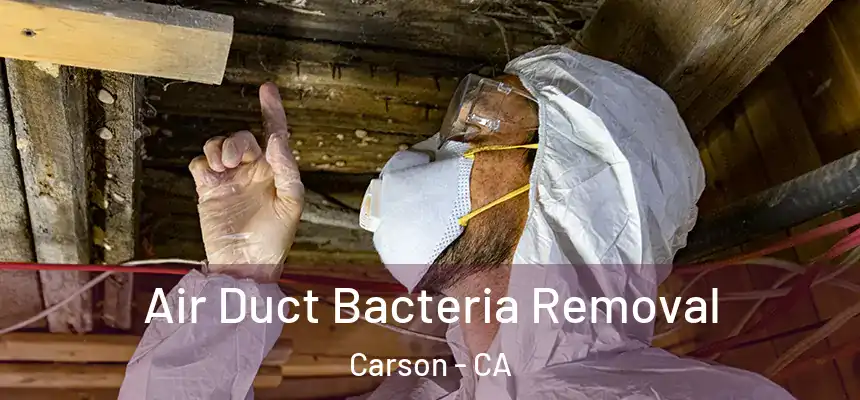  Air Duct Bacteria Removal Carson - CA