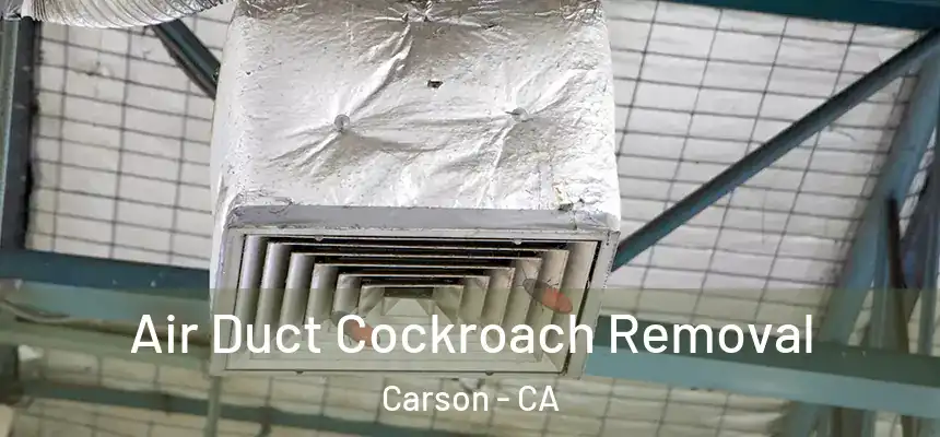  Air Duct Cockroach Removal Carson - CA