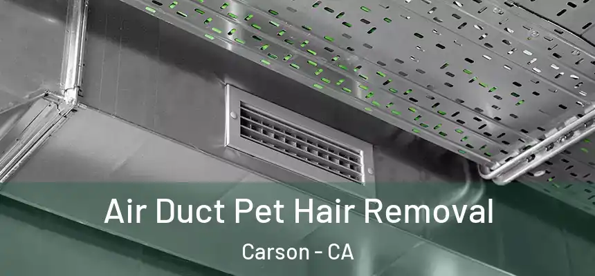  Air Duct Pet Hair Removal Carson - CA