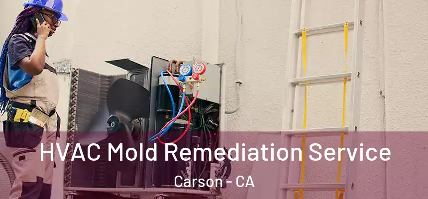  HVAC Mold Remediation Service Carson - CA