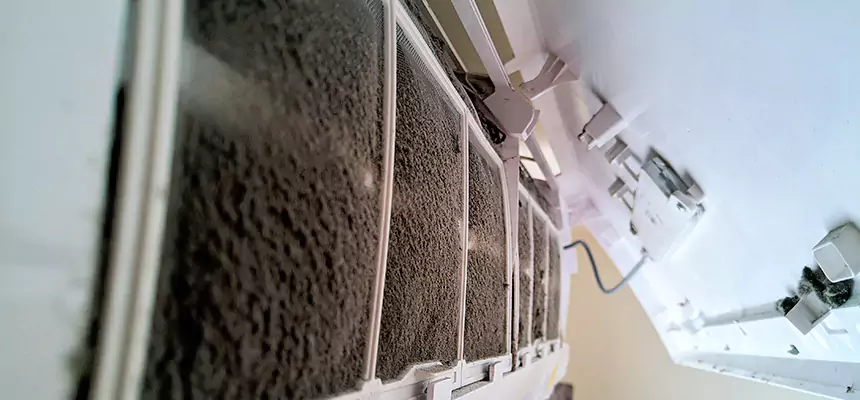 Preventive Air Duct Bacteria Removal in Carson