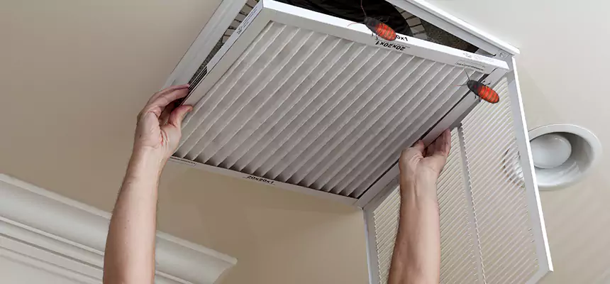 Preventive Cockroach-Proofing for Ducts in Carson