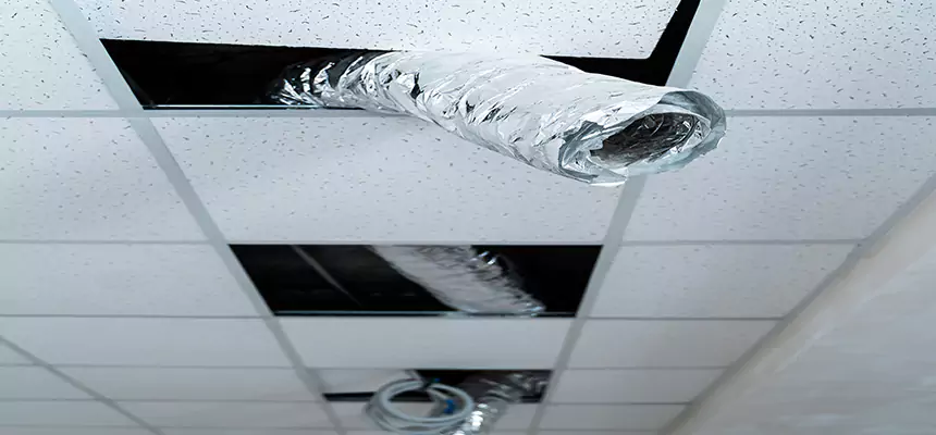 Affordable HVAC Sanitizing After Pest Removal in Carson