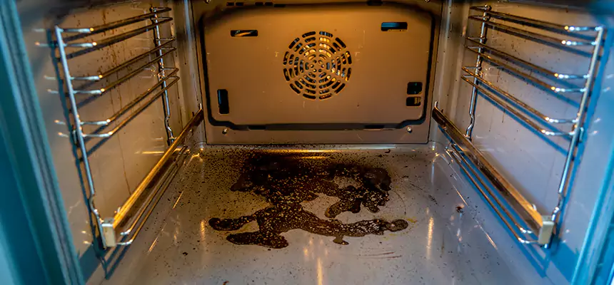 Our Dryer Vent Mold Cleaning Services in Carson, CA