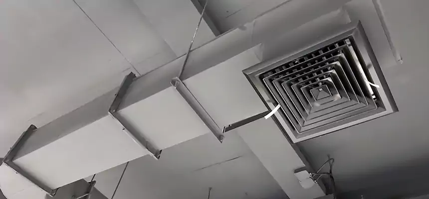 Our Pest Removal From Ducts Services in Carson, CA