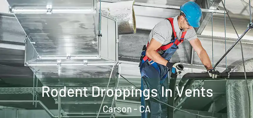  Rodent Droppings In Vents Carson - CA