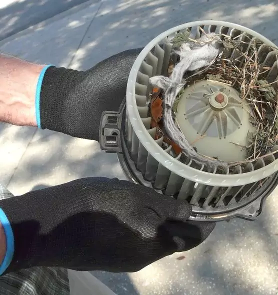 About Air Duct Rat Removal in Carson, CA