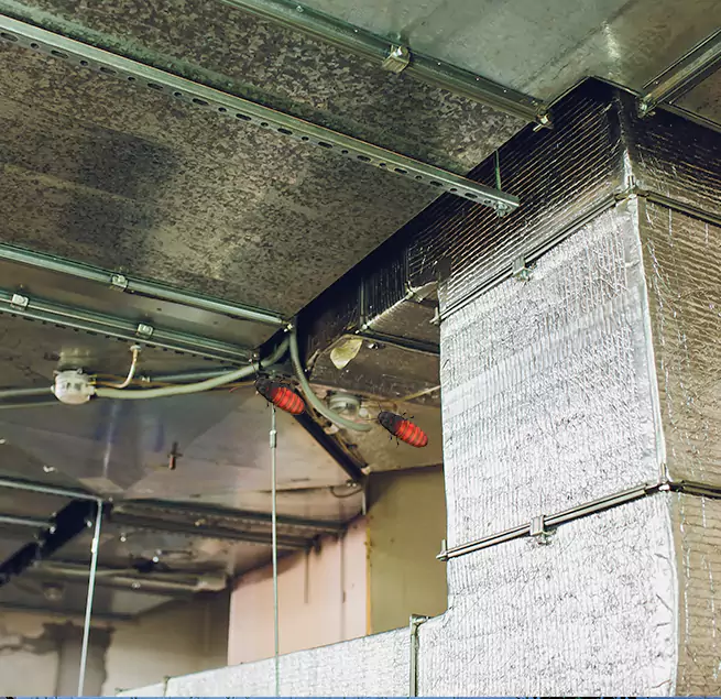 Why Homeowners & Businesses Trust Us in Carson, CA?