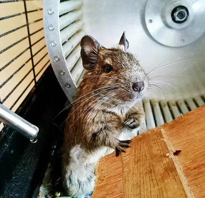 Why Homeowners & Businesses Trust Us Carson, CA?